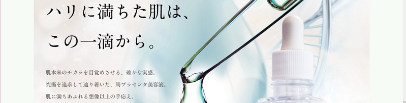 �y�v���Z���^�t�@�C���G�N�X �g�����z���T�C�g